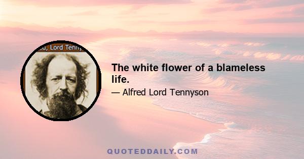 The white flower of a blameless life.