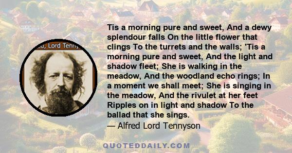 Tis a morning pure and sweet, And a dewy splendour falls On the little flower that clings To the turrets and the walls; 'Tis a morning pure and sweet, And the light and shadow fleet; She is walking in the meadow, And