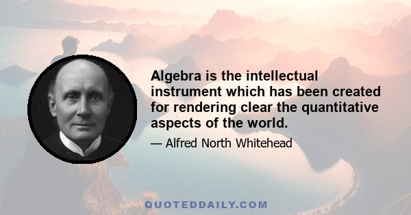 Algebra is the intellectual instrument which has been created for rendering clear the quantitative aspects of the world.