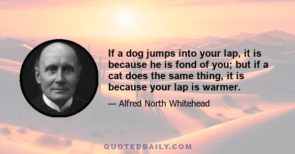 If a dog jumps into your lap, it is because he is fond of you; but if a cat does the same thing, it is because your lap is warmer.