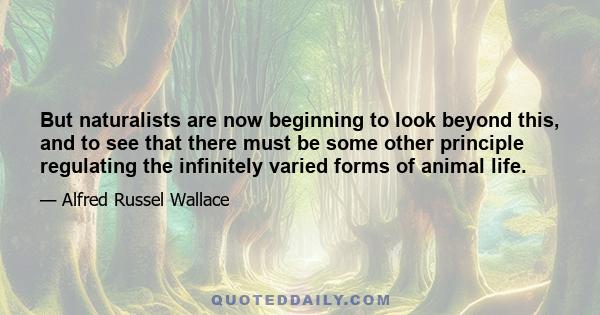 But naturalists are now beginning to look beyond this, and to see that there must be some other principle regulating the infinitely varied forms of animal life.