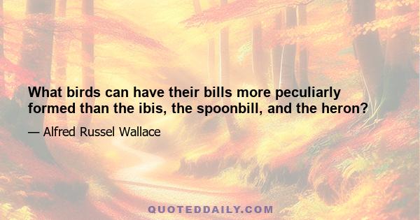 What birds can have their bills more peculiarly formed than the ibis, the spoonbill, and the heron?