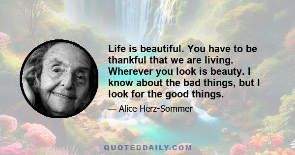 Life is beautiful. You have to be thankful that we are living. Wherever you look is beauty. I know about the bad things, but I look for the good things.