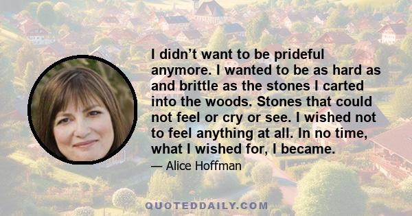 I didn’t want to be prideful anymore. I wanted to be as hard as and brittle as the stones I carted into the woods. Stones that could not feel or cry or see. I wished not to feel anything at all. In no time, what I