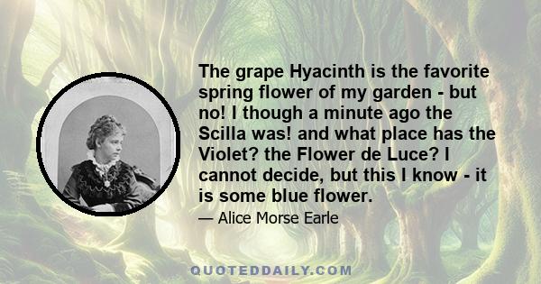 The grape Hyacinth is the favorite spring flower of my garden - but no! I though a minute ago the Scilla was! and what place has the Violet? the Flower de Luce? I cannot decide, but this I know - it is some blue flower.