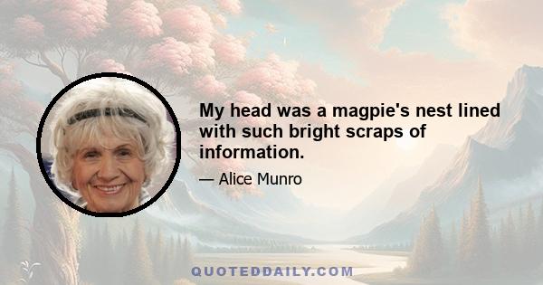 My head was a magpie's nest lined with such bright scraps of information.