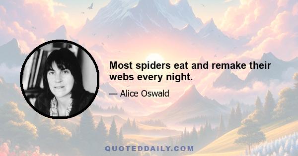 Most spiders eat and remake their webs every night.