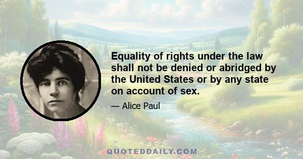 Equality of rights under the law shall not be denied or abridged by the United States or by any state on account of sex.