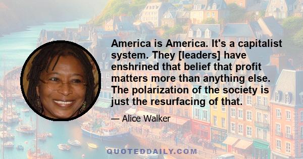 America is America. It's a capitalist system. They [leaders] have enshrined that belief that profit matters more than anything else. The polarization of the society is just the resurfacing of that.