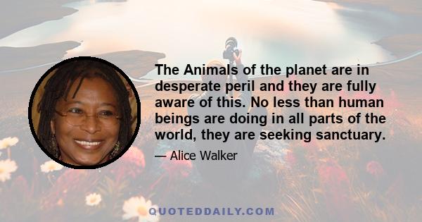 The Animals of the planet are in desperate peril and they are fully aware of this. No less than human beings are doing in all parts of the world, they are seeking sanctuary.