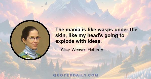 The mania is like wasps under the skin, like my head's going to explode with ideas.