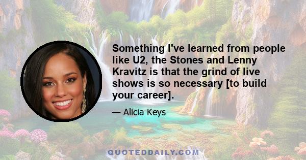 Something I've learned from people like U2, the Stones and Lenny Kravitz is that the grind of live shows is so necessary [to build your career].