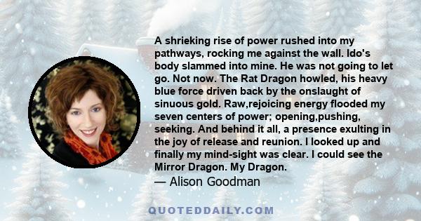 A shrieking rise of power rushed into my pathways, rocking me against the wall. Ido's body slammed into mine. He was not going to let go. Not now. The Rat Dragon howled, his heavy blue force driven back by the onslaught 