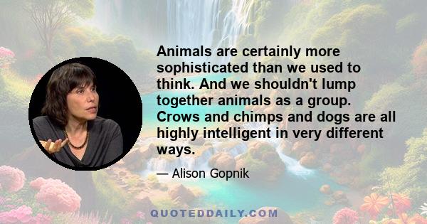 Animals are certainly more sophisticated than we used to think. And we shouldn't lump together animals as a group. Crows and chimps and dogs are all highly intelligent in very different ways.