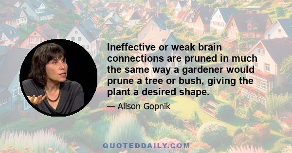 Ineffective or weak brain connections are pruned in much the same way a gardener would prune a tree or bush, giving the plant a desired shape.