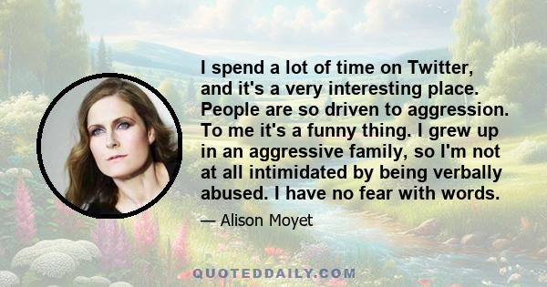 I spend a lot of time on Twitter, and it's a very interesting place. People are so driven to aggression. To me it's a funny thing. I grew up in an aggressive family, so I'm not at all intimidated by being verbally