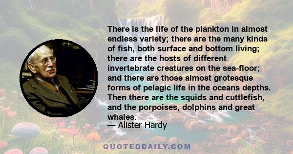 There is the life of the plankton in almost endless variety; there are the many kinds of fish, both surface and bottom living; there are the hosts of different invertebrate creatures on the sea-floor; and there are