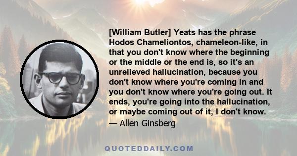 [William Butler] Yeats has the phrase Hodos Chameliontos, chameleon-like, in that you don't know where the beginning or the middle or the end is, so it's an unrelieved hallucination, because you don't know where you're