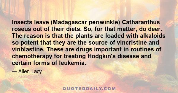 Insects leave (Madagascar periwinkle) Catharanthus roseus out of their diets. So, for that matter, do deer. The reason is that the plants are loaded with alkaloids so potent that they are the source of vincristine and