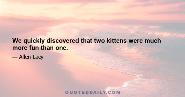 We quickly discovered that two kittens were much more fun than one.