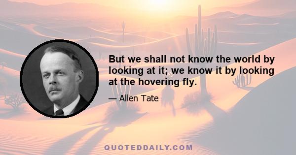 But we shall not know the world by looking at it; we know it by looking at the hovering fly.