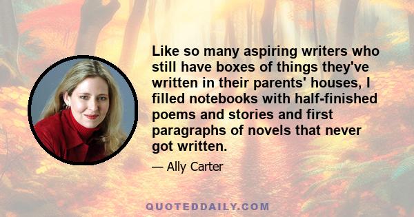 Like so many aspiring writers who still have boxes of things they've written in their parents' houses, I filled notebooks with half-finished poems and stories and first paragraphs of novels that never got written.