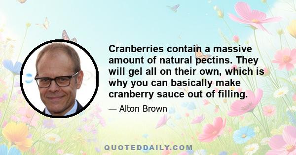 Cranberries contain a massive amount of natural pectins. They will gel all on their own, which is why you can basically make cranberry sauce out of filling.