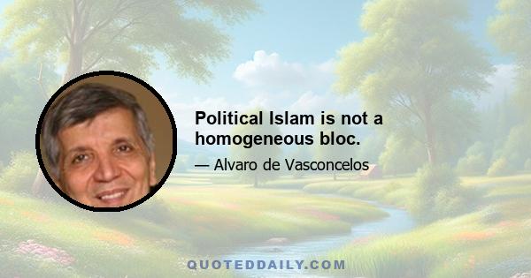 Political Islam is not a homogeneous bloc.