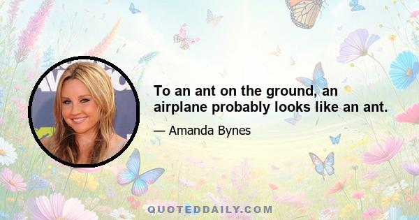 To an ant on the ground, an airplane probably looks like an ant.