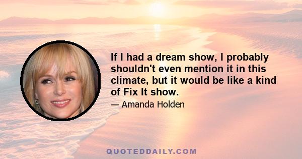 If I had a dream show, I probably shouldn't even mention it in this climate, but it would be like a kind of Fix It show.