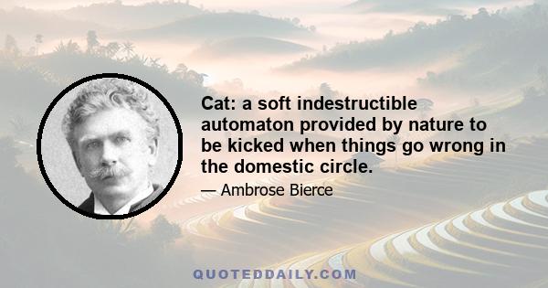 Cat: a soft indestructible automaton provided by nature to be kicked when things go wrong in the domestic circle.