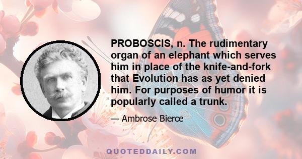 PROBOSCIS, n. The rudimentary organ of an elephant which serves him in place of the knife-and-fork that Evolution has as yet denied him. For purposes of humor it is popularly called a trunk.