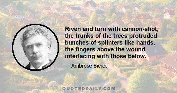 Riven and torn with cannon-shot, the trunks of the trees protruded bunches of splinters like hands, the fingers above the wound interlacing with those below.