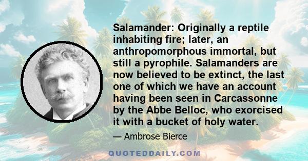 Salamander: Originally a reptile inhabiting fire; later, an anthropomorphous immortal, but still a pyrophile. Salamanders are now believed to be extinct, the last one of which we have an account having been seen in