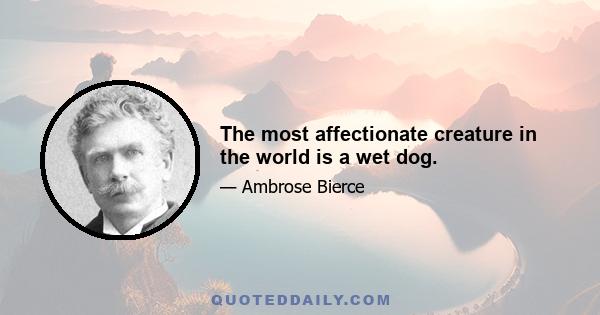 The most affectionate creature in the world is a wet dog.