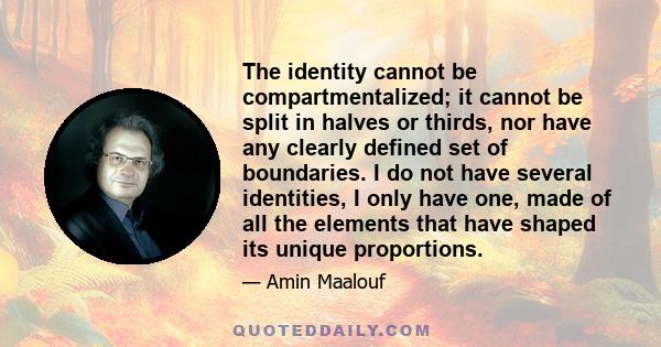 The identity cannot be compartmentalized; it cannot be split in halves or thirds, nor have any clearly defined set of boundaries. I do not have several identities, I only have one, made of all the elements that have