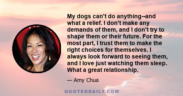 My dogs can't do anything--and what a relief. I don't make any demands of them, and I don't try to shape them or their future. For the most part, I trust them to make the right choices for themselves. I always look