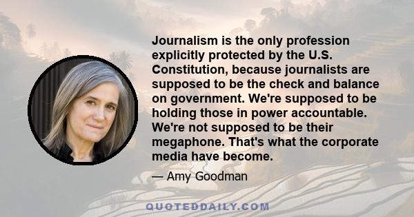 Journalism is the only profession explicitly protected by the U.S. Constitution, because journalists are supposed to be the check and balance on government. We're supposed to be holding those in power accountable. We're 