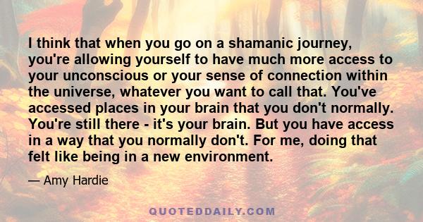 I think that when you go on a shamanic journey, you're allowing yourself to have much more access to your unconscious or your sense of connection within the universe, whatever you want to call that. You've accessed