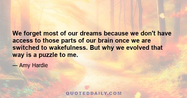 We forget most of our dreams because we don't have access to those parts of our brain once we are switched to wakefulness. But why we evolved that way is a puzzle to me.