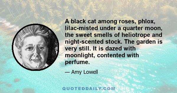 A black cat among roses, phlox, lilac-misted under a quarter moon, the sweet smells of heliotrope and night-scented stock. The garden is very still. It is dazed with moonlight, contented with perfume.