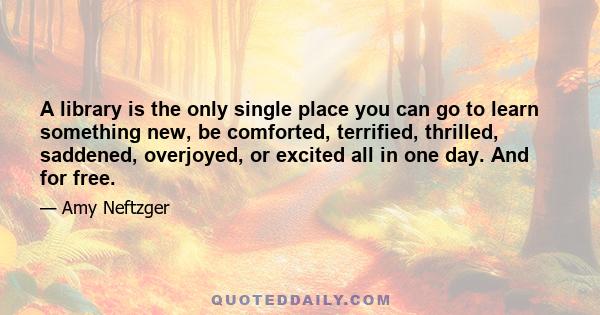 A library is the only single place you can go to learn something new, be comforted, terrified, thrilled, saddened, overjoyed, or excited all in one day. And for free.