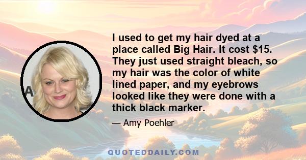 I used to get my hair dyed at a place called Big Hair. It cost $15. They just used straight bleach, so my hair was the color of white lined paper, and my eyebrows looked like they were done with a thick black marker.