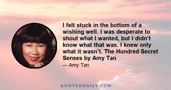 I felt stuck in the bottom of a wishing well. I was desperate to shout what I wanted, but I didn’t know what that was. I knew only what it wasn’t. The Hundred Secret Senses by Amy Tan