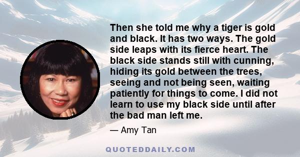 Then she told me why a tiger is gold and black. It has two ways. The gold side leaps with its fierce heart. The black side stands still with cunning, hiding its gold between the trees, seeing and not being seen, waiting 