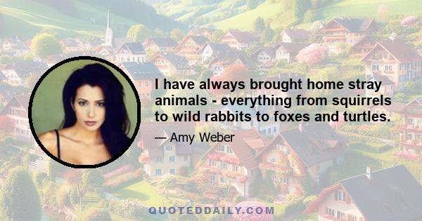 I have always brought home stray animals - everything from squirrels to wild rabbits to foxes and turtles.