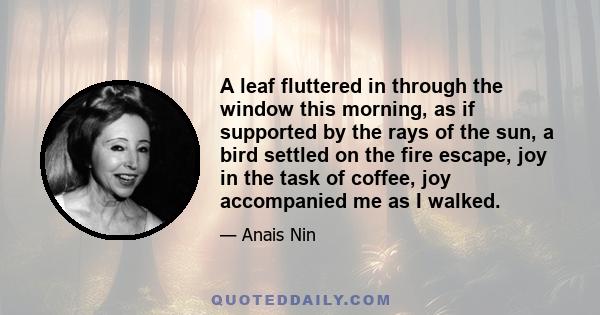 A leaf fluttered in through the window this morning, as if supported by the rays of the sun, a bird settled on the fire escape, joy in the task of coffee, joy accompanied me as I walked.