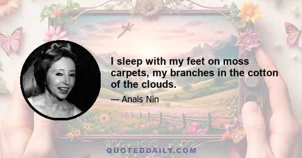 I sleep with my feet on moss carpets, my branches in the cotton of the clouds.