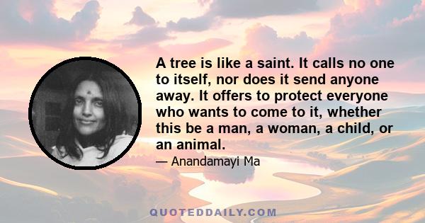 A tree is like a saint. It calls no one to itself, nor does it send anyone away. It offers to protect everyone who wants to come to it, whether this be a man, a woman, a child, or an animal.