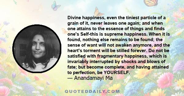 Divine happiness, even the tiniest particle of a grain of it, never leaves one again; and when one attains to the essence of things and finds one's Self-this is supreme happiness. When it is found, nothing else remains